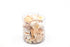 beige and white seashell pack